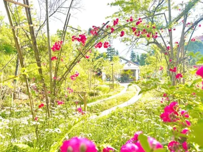 Thanh Truc Villa & Flower – 사진 2